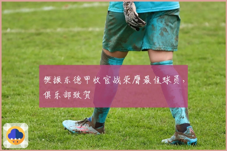 樊振东德甲收官战荣膺最佳球员，俱乐部致贺