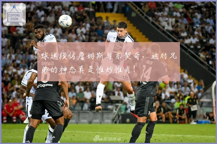 球迷模仿詹姆斯与东契奇，这对兄弟的神态真是惟妙惟肖！