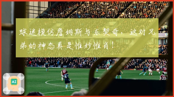 球迷模仿詹姆斯与东契奇，这对兄弟的神态真是惟妙惟肖！