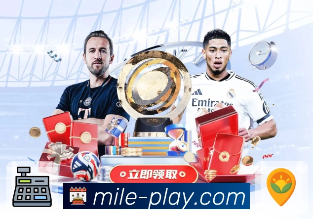 项目动态观察模块